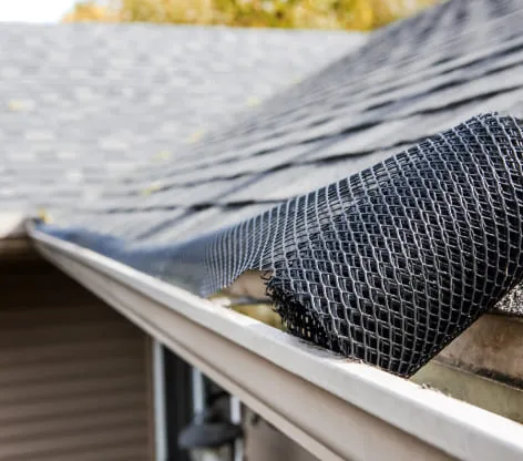 A black mesh gutter guard installed on the roof of a house.