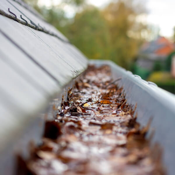 Detail of a clean grey aluminum gutter installed on a residential roof edge.